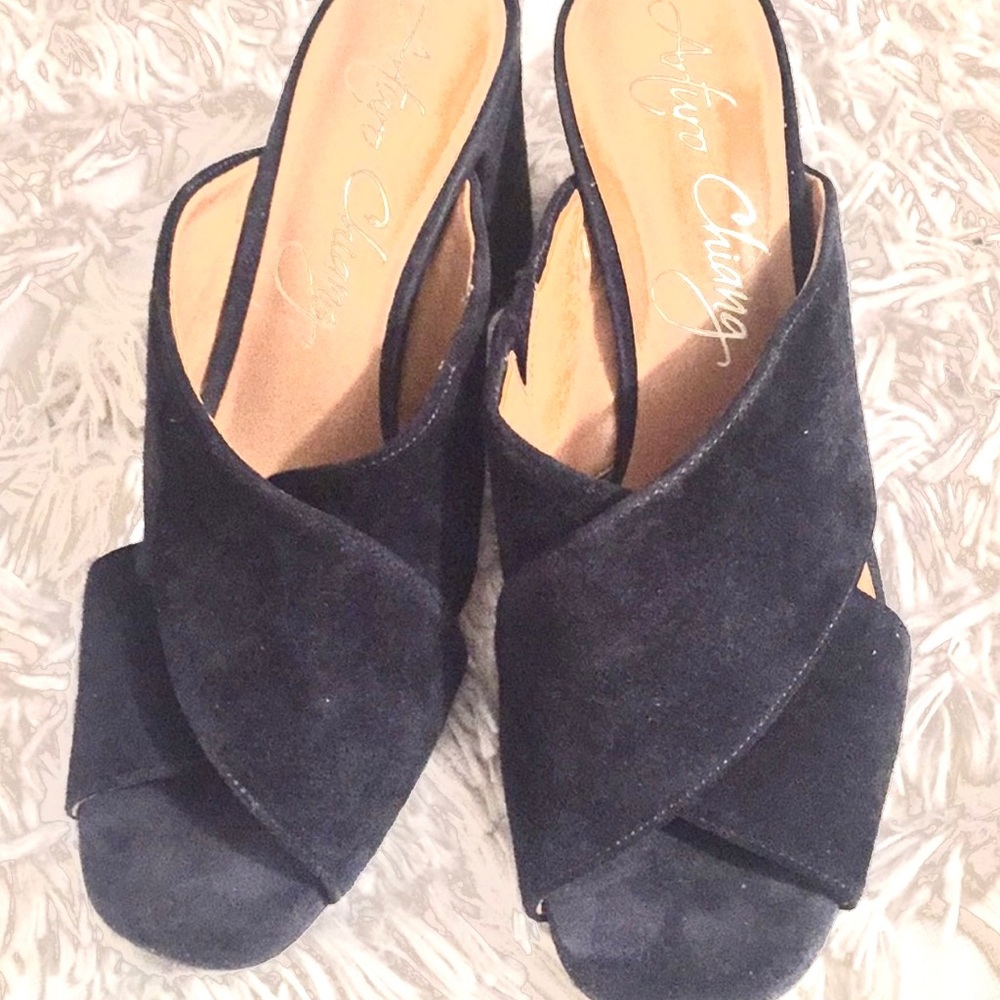 Arturo Chiang Suede Shoes